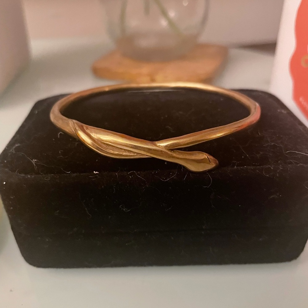 Catori Life Serpent Bangle Bracelet in Brass